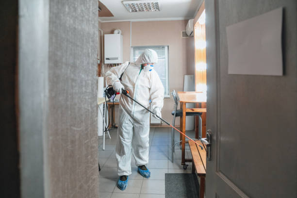 Best Crawl Space Mold Remediation  in Southeast Arcadia, FL