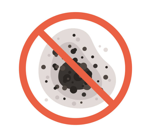 Best Comprehensive Air Testing for Mold Contaminants  in Southeast Arcadia, FL