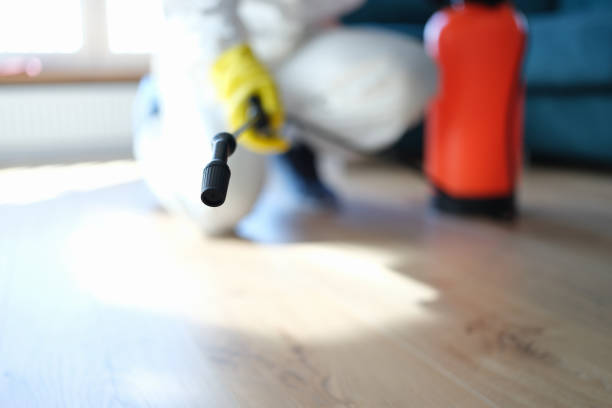 Best Asbestos and Lead Testing During Mold Inspection  in Southeast Arcadia, FL