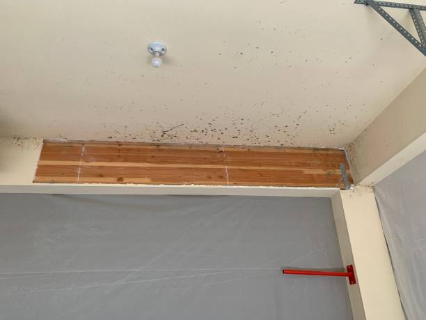 Best Post-Remediation Verification Testing  in Southeast Arcadia, FL